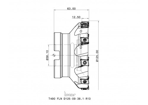 T490 FLN D125-09-38.1-R13-2