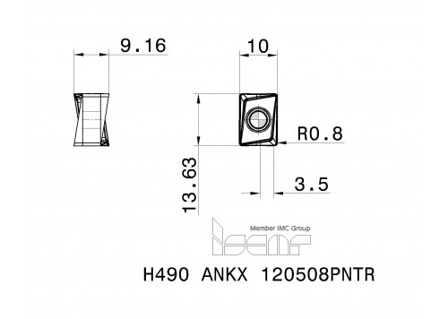 H490 ANKX 120508PNTR IC808-1