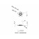 PENTA 24R200P06D IC1008