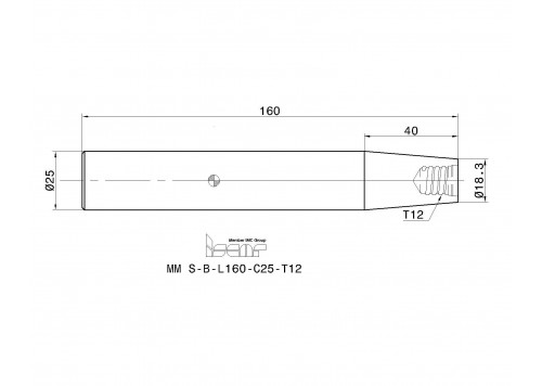 MM S-B-L160-C25-T12-2