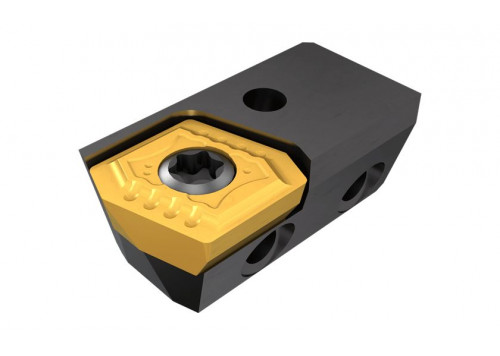 CAOD-080+1